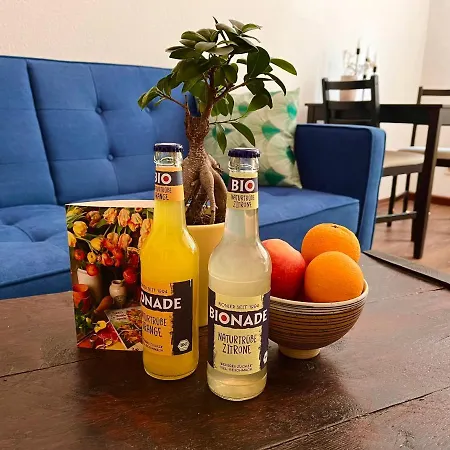 Traumhaftes Zwei-zimmer-apartment An Der Elbe دريسدن